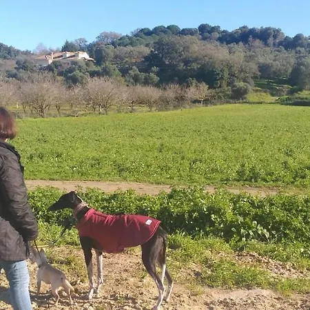 Pateo Da Memoria-casa Do Artesao * Quinta do Anjo