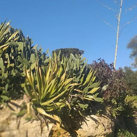 Pateo Da Memoria-casa Do Artesao * Quinta do Anjo