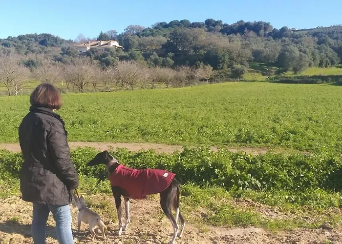 Pateo Da Memoria-casa Do Artesao * Quinta do Anjo