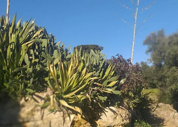 Pateo Da Memoria-casa Do Artesao * Quinta do Anjo